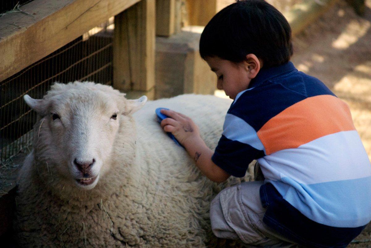 Çocuklarınıza kurbanı 'yardımlaşmak' olarak anlatın