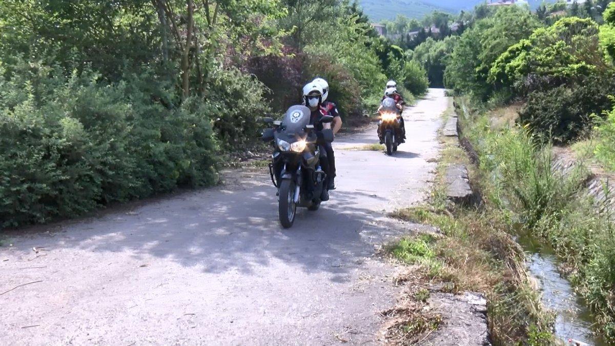 Pendik’te zehirlenerek öldürülmüş 17 köpek bulundu