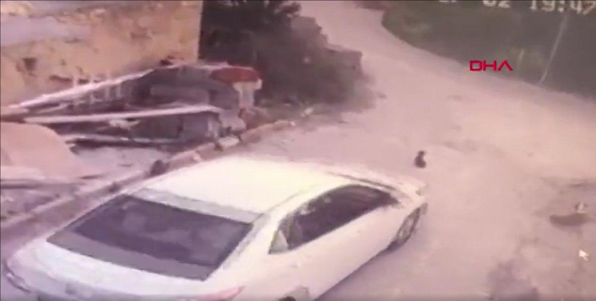 Konya’da yavru köpeği ezip yoluna devam etti