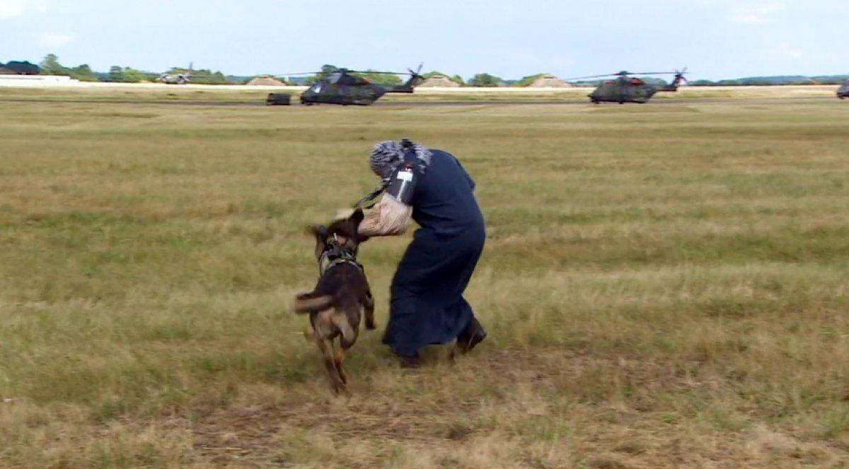 Almanya'daki tatbikatta köpekler, başörtülü kadın üzerinde eğitildi