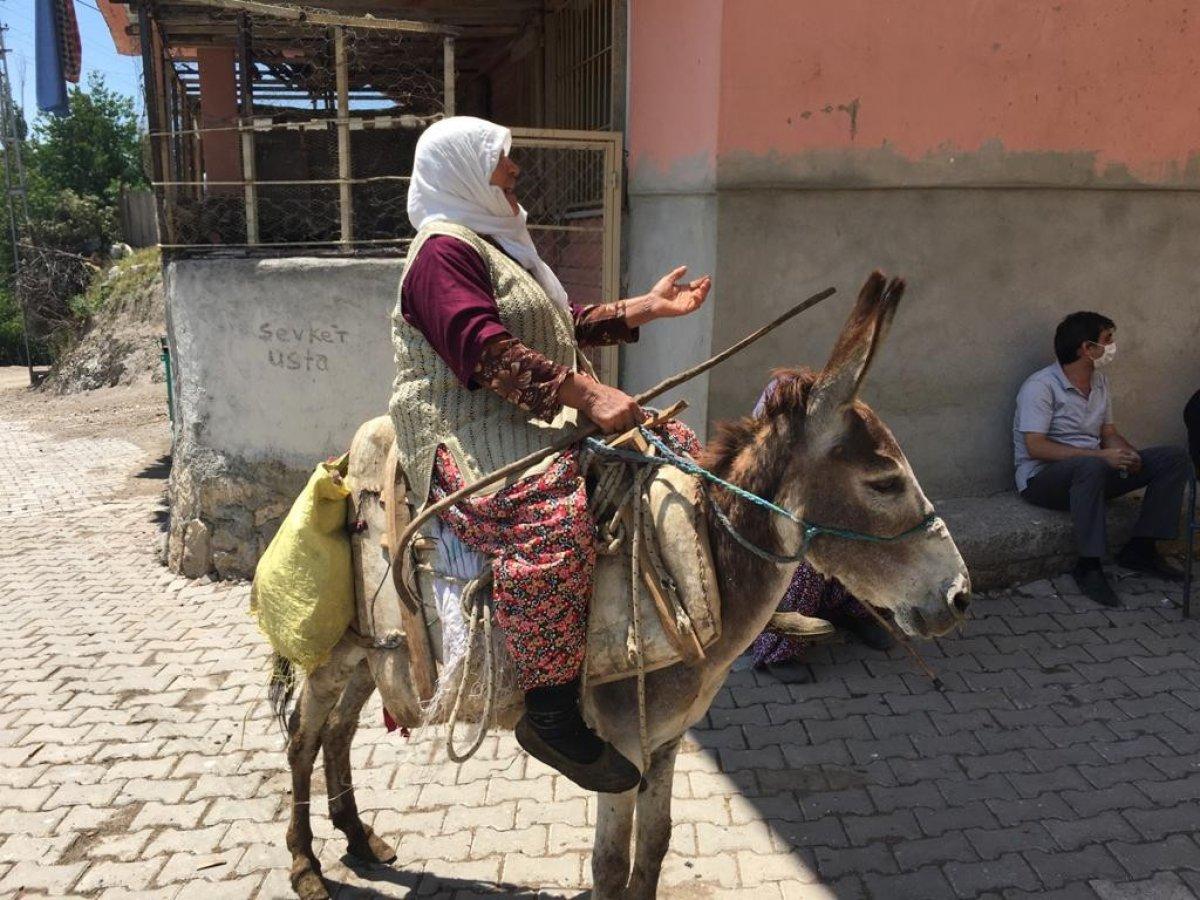 Amasya'da aşı ekipleri, eşek üstündeki yaşlı kadının şiiriyle moral buldu