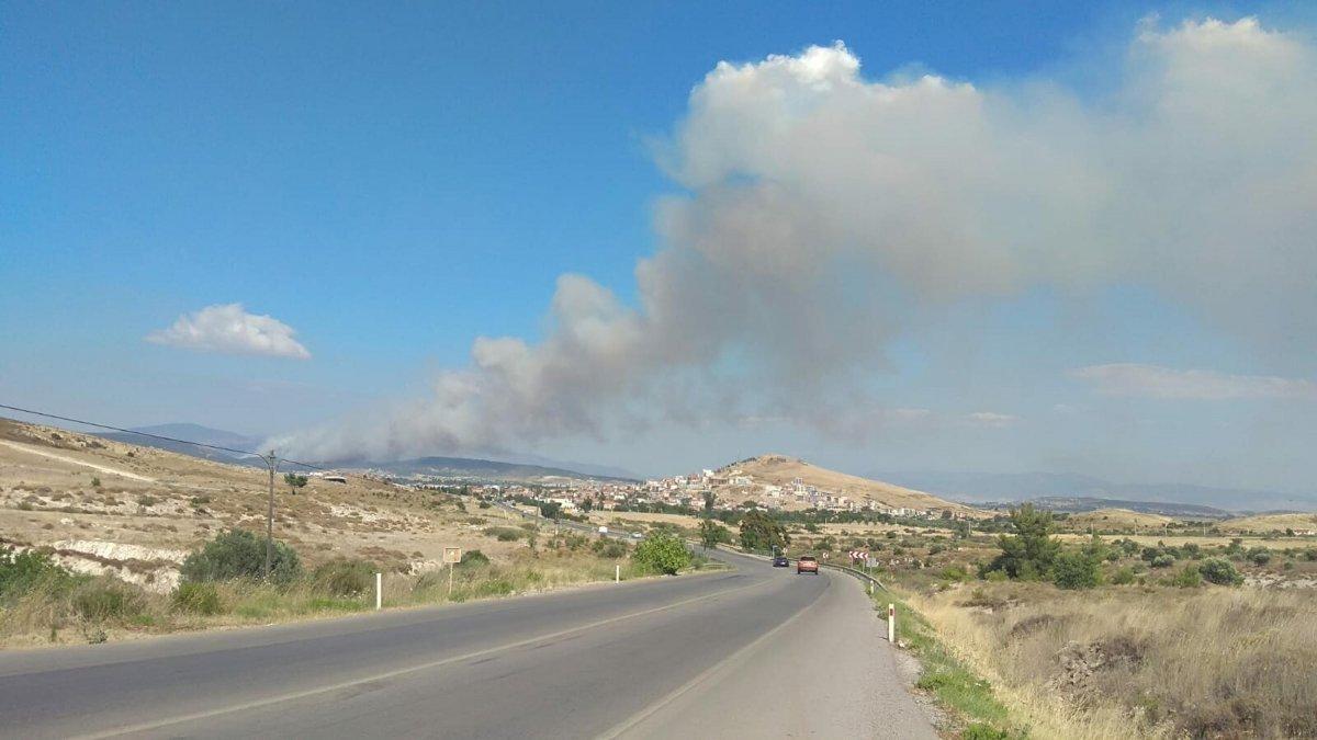 Foça'da orman yangını