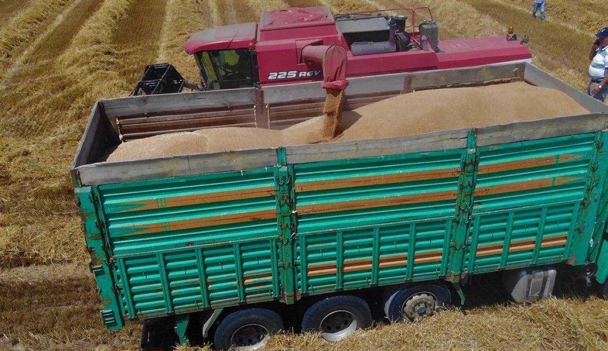 Trakya'da bolluk yaşanıyor