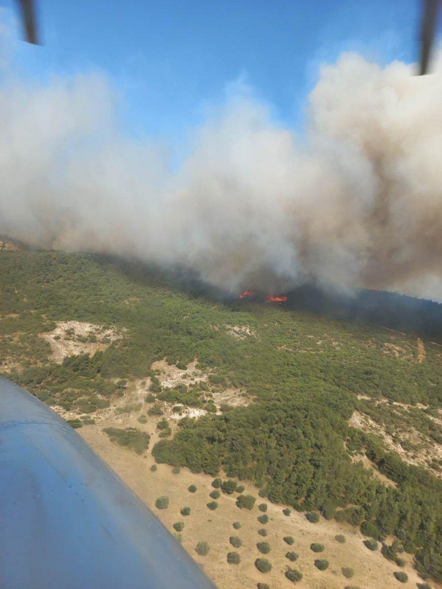 Foça'da orman yangını