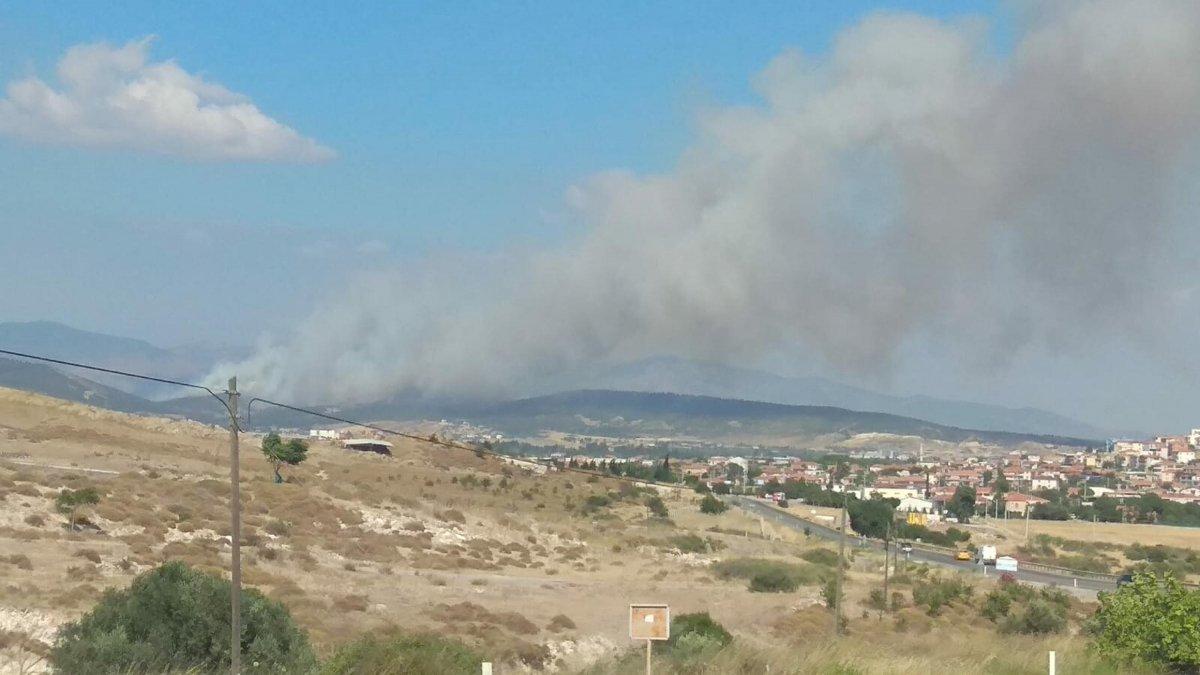 Foça'da orman yangını