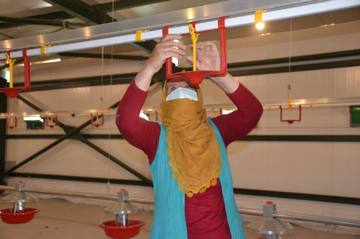 Devlet desteği ile hindi çiftliği kurdu