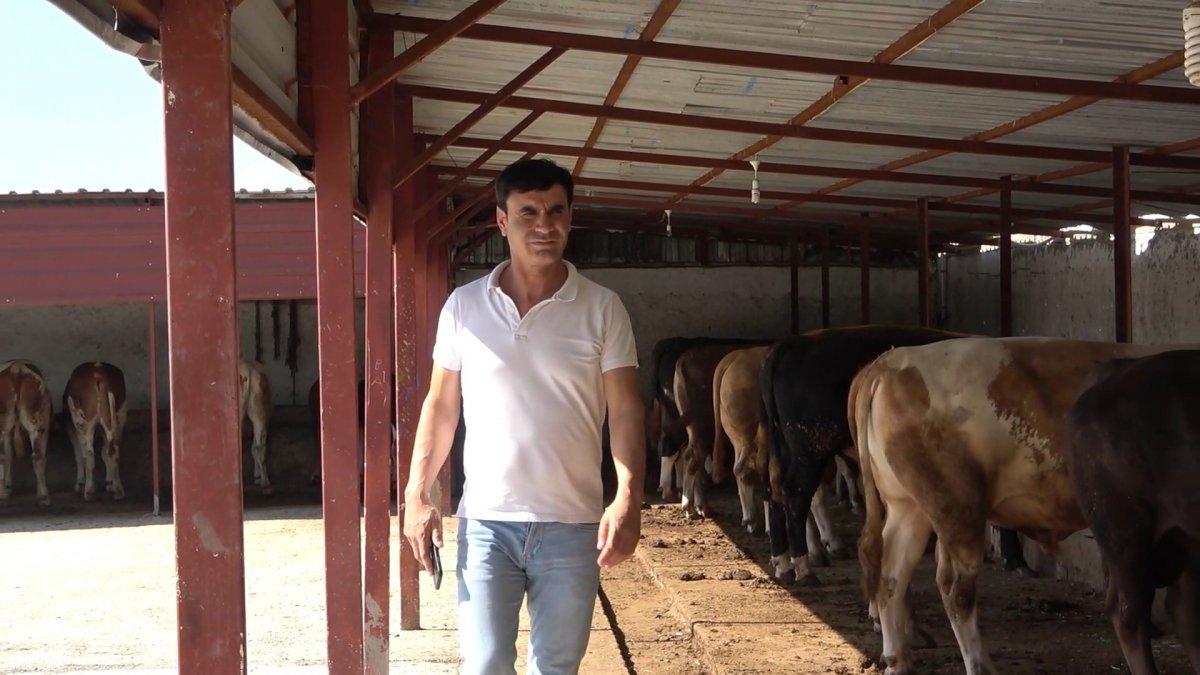 Kurbanlıklarda nelere dikkat etmeli