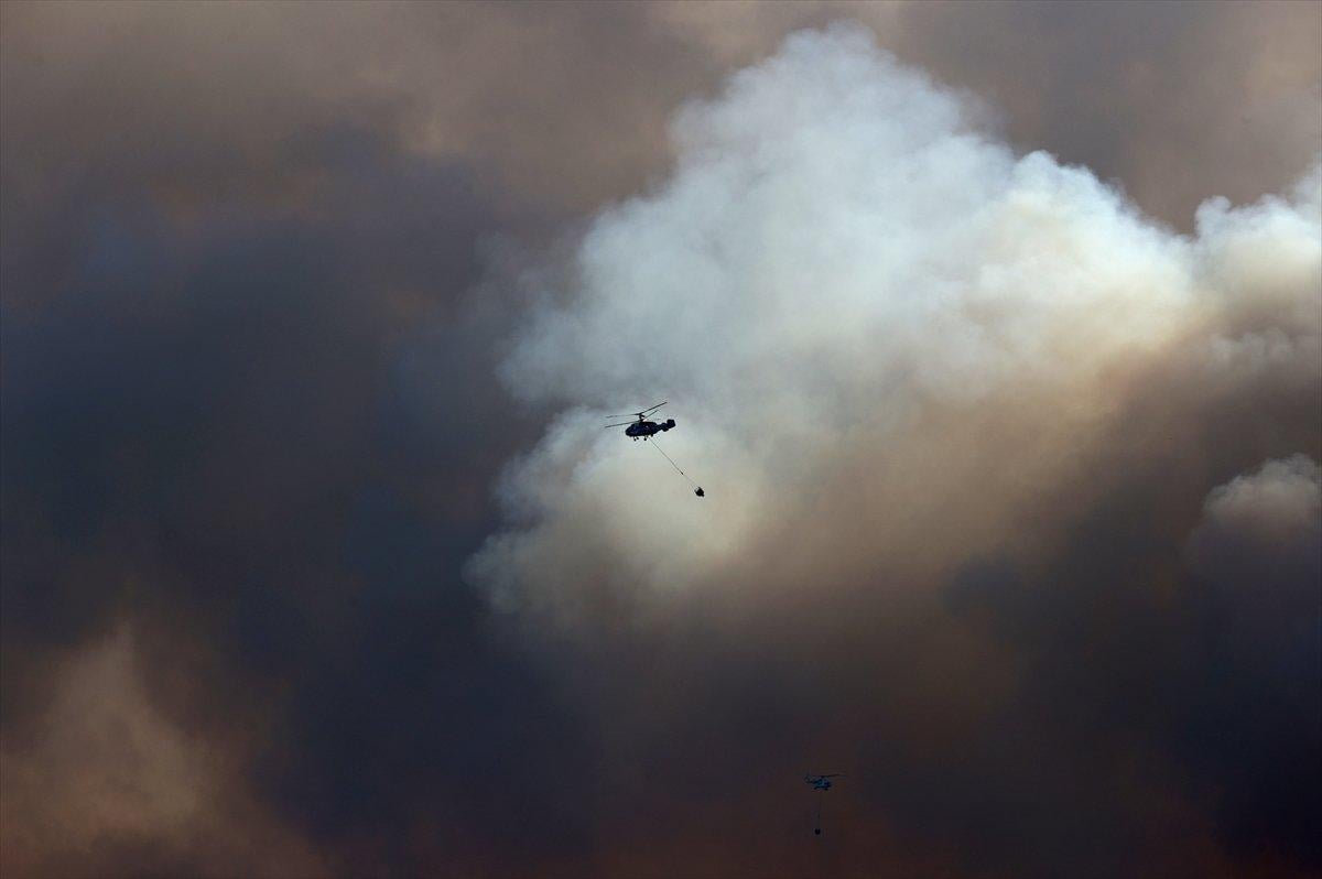 Foça'da orman yangını