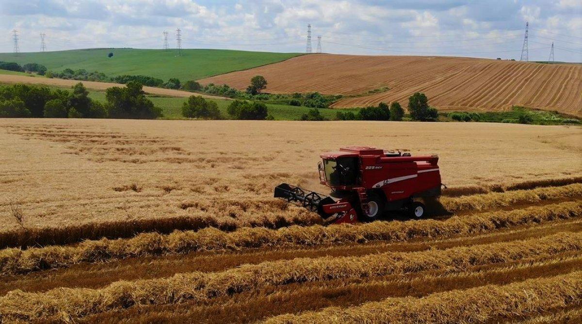 Trakya'da bolluk yaşanıyor