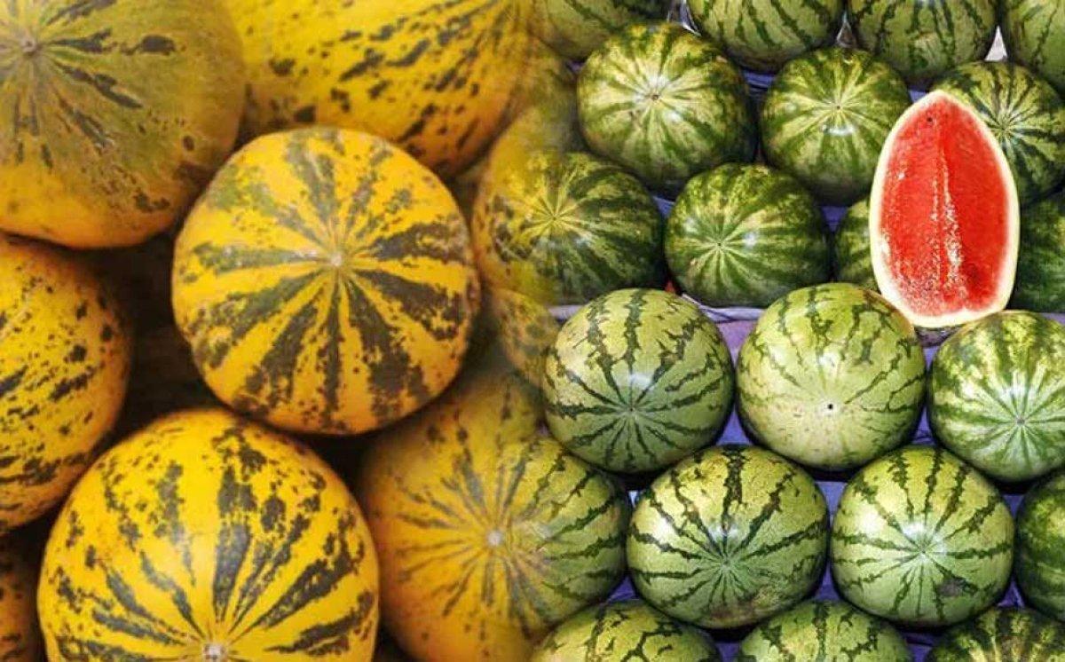 Kavun ve karpuz: Hangisi daha sağlıklı?