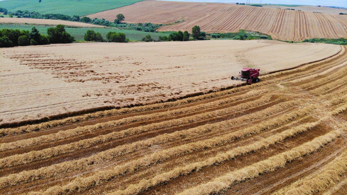 Trakya'da bolluk yaşanıyor