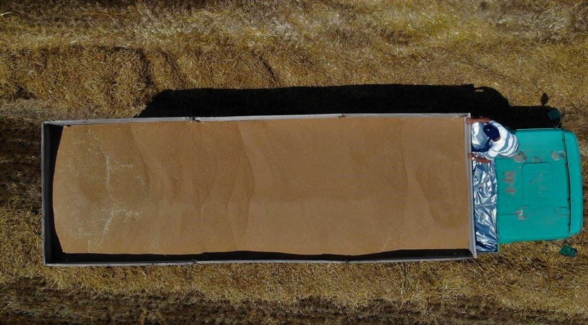 Trakya'da bolluk yaşanıyor