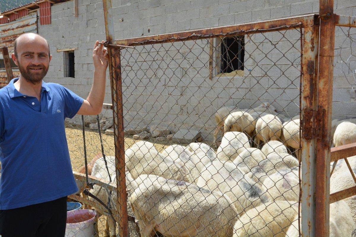 Denizli'de eşinin yardımıyla kurduğu işle yeniden hayata döndü