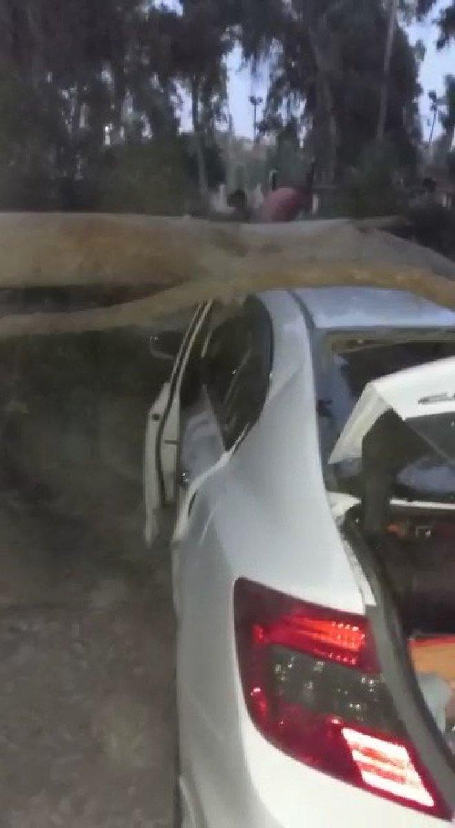 Mersin’de piknik alanındaki ağaçlar, araçların üzerine devrildi
