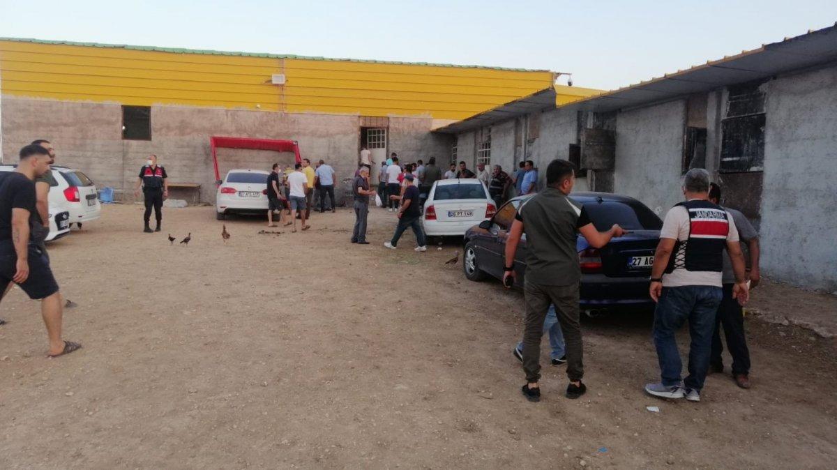 Gaziantep'te horoz dövüştüren 40 kişi, 60 bin lira ceza ödedi