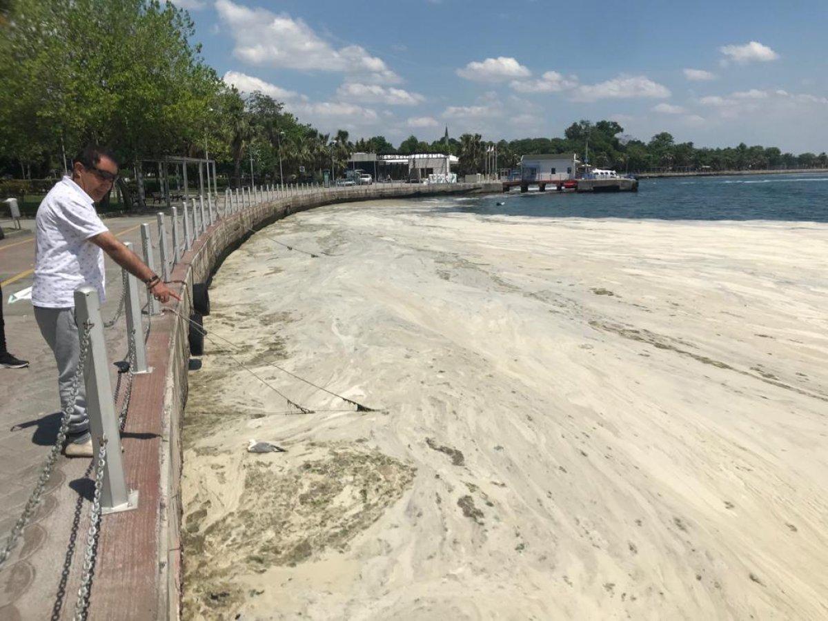 İzmit Körfezi'nde müsilaj temizlendi