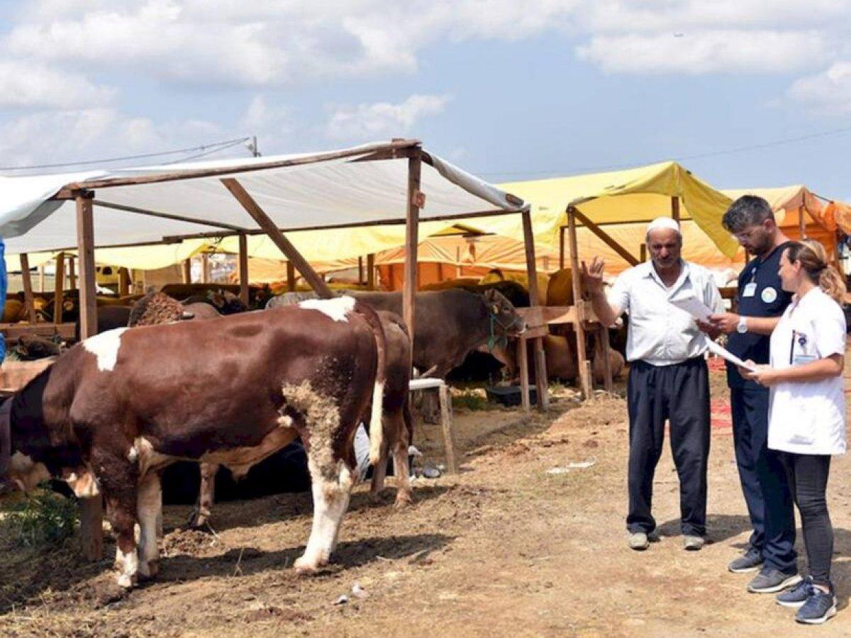 Kurban satış ve kesim yerlerinde alınacak tedbirler açıklandı