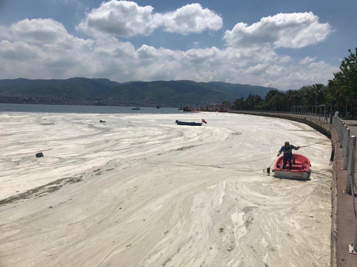 İzmit Körfezi'nde müsilaj temizlendi