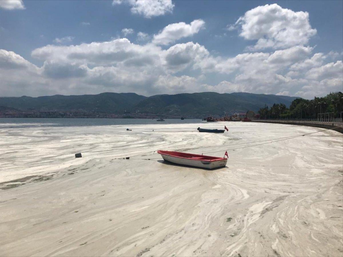 İzmit Körfezi'nde müsilaj temizlendi
