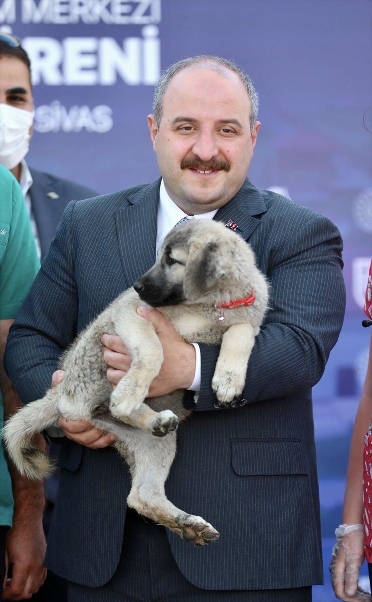 Sivas'ta kangal köpeği üretim ve eğitim merkezi açıldı
