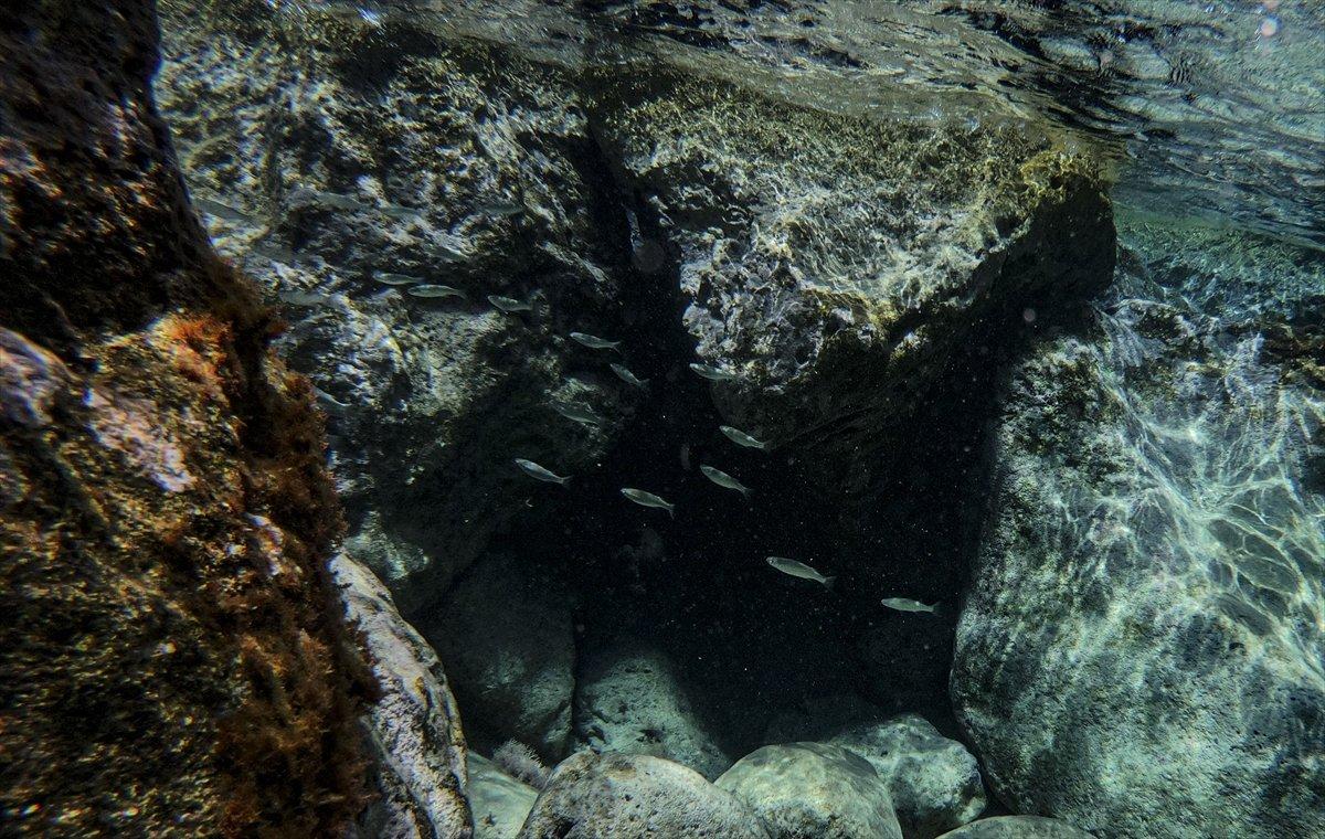 Suluada'ya ziyaretçi akını