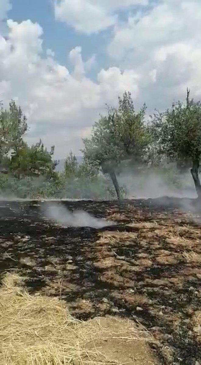 Denizli’de ormanlık alanda yangın