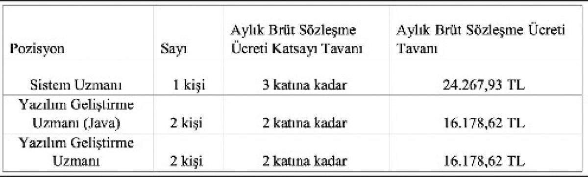 Danıştay Başkanlığı sözleşmeli bilişim personeli alacak! İşte başvuru şartları