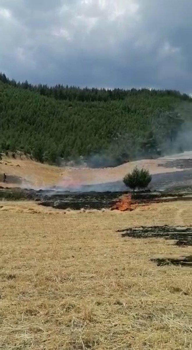 Denizli’de ormanlık alanda yangın