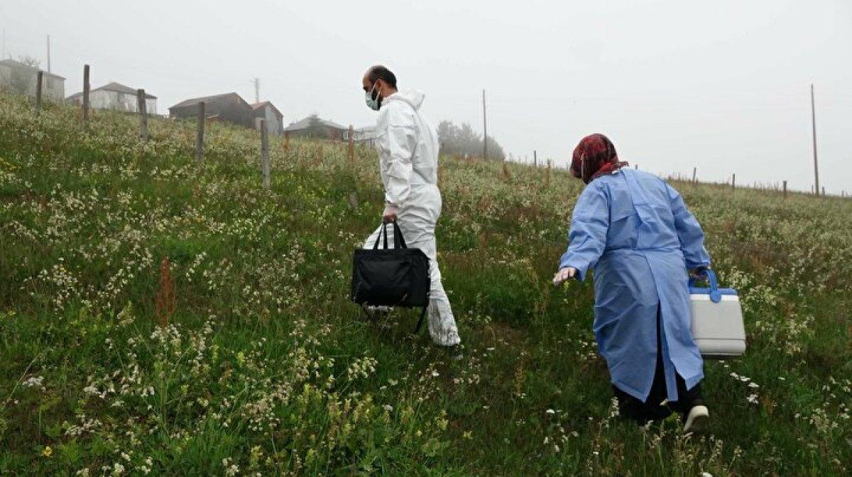 Karadeniz'de aşı mesaisi: Sağlık çalışanları 1800 metreye çıktı