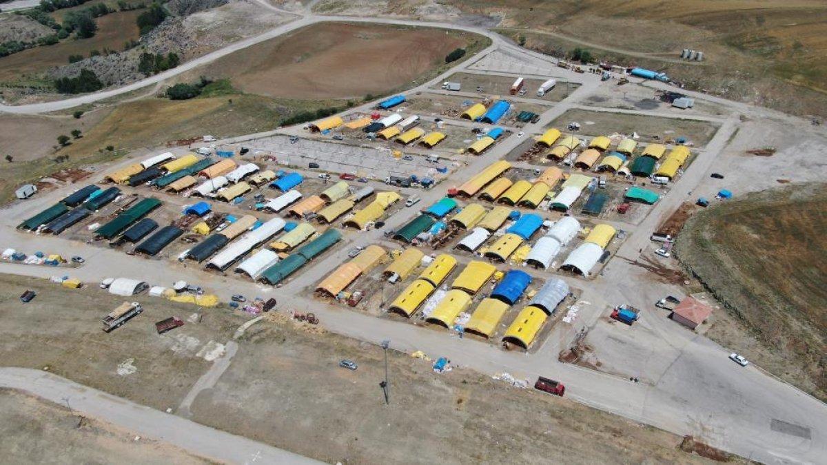 Kurban Bayramı'na sayılı günler kaldı, kurban pazarları kuruldu