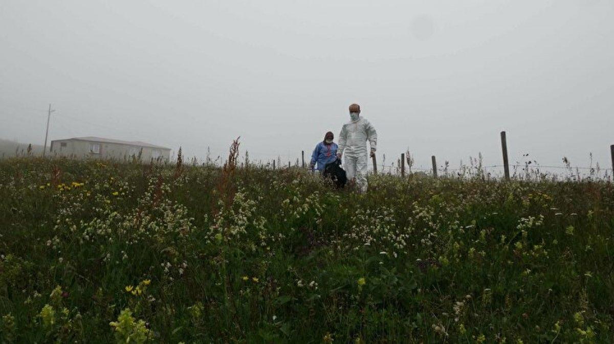 Karadeniz'de aşı mesaisi: Sağlık çalışanları 1800 metreye çıktı