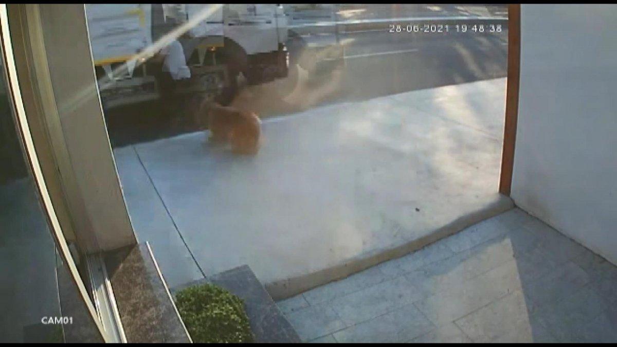 İstanbul'da köpekten kaçarken kamyon çarpan genç hayatını kaybetti
