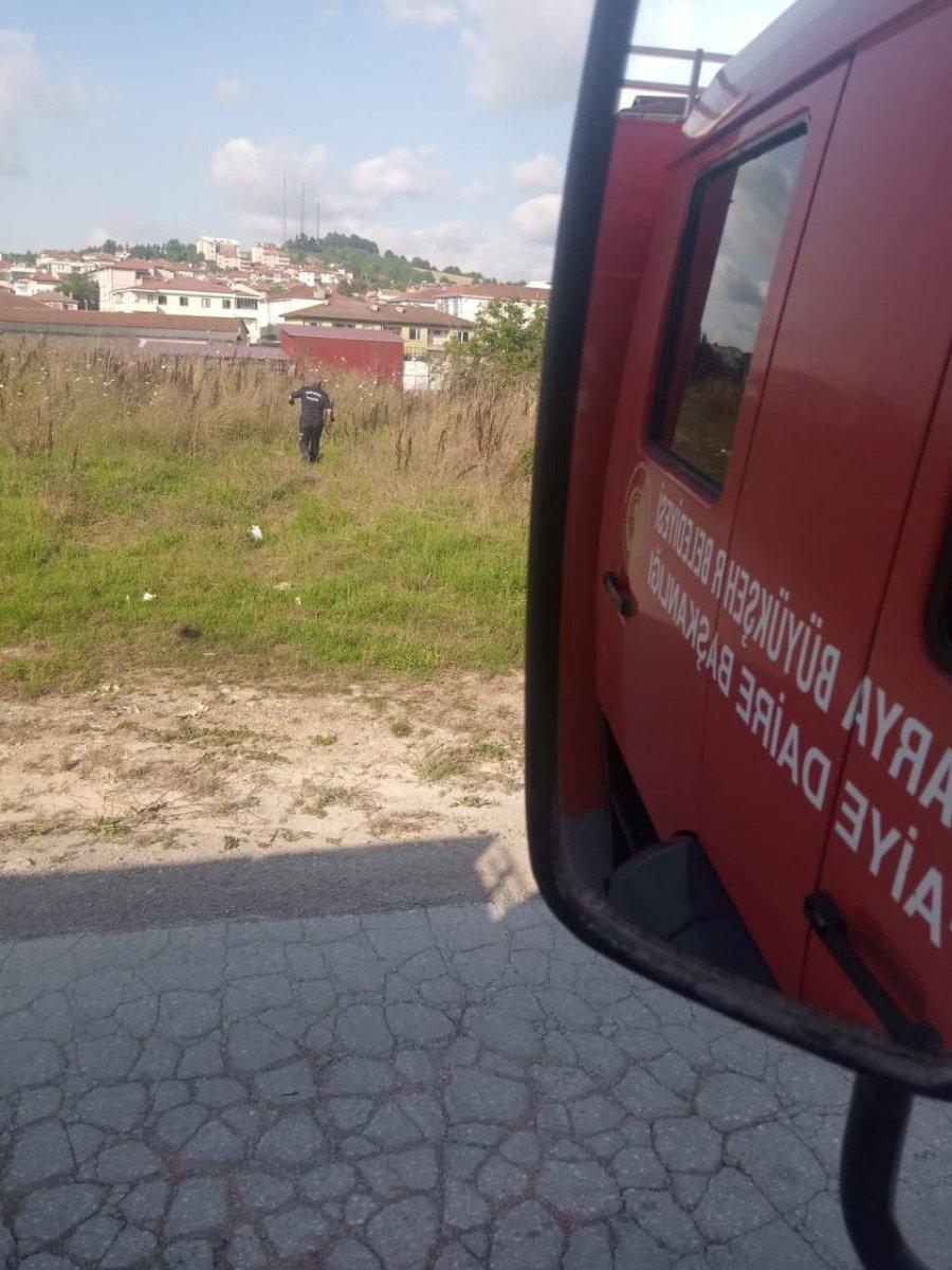 Sakarya'daki itfaiye, eliyle yakaladığı yılanı doğaya saldı