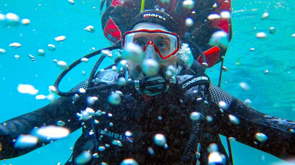 Mustafa Varank, 'Doğal Akvaryum'da