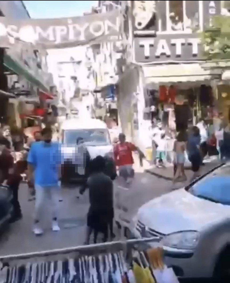 Beşiktaş'ta labrador retriever dehşeti