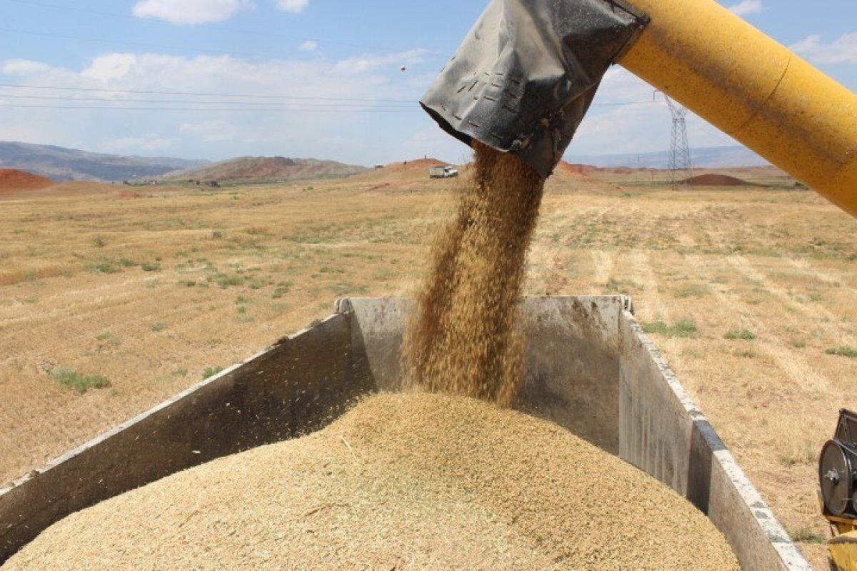 Iğdır'da çorak araziler tarıma kazandırıldı