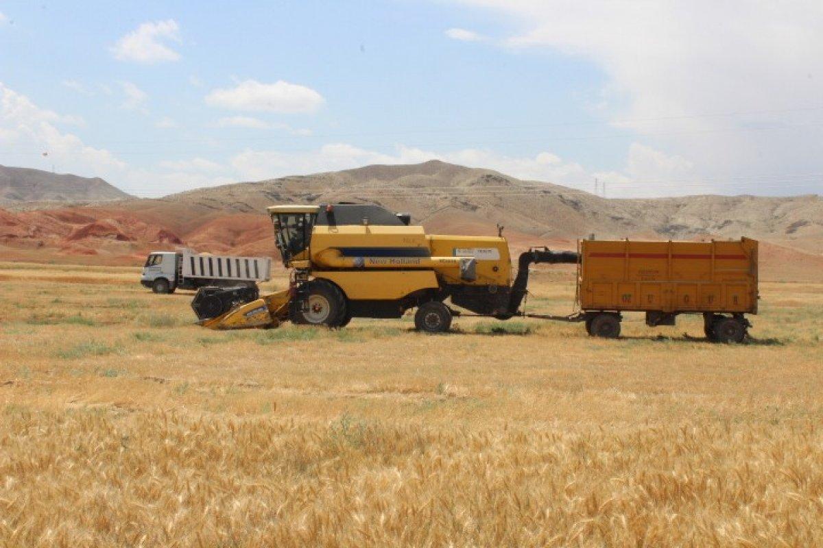 Küresel piyasalar verilere odaklandı