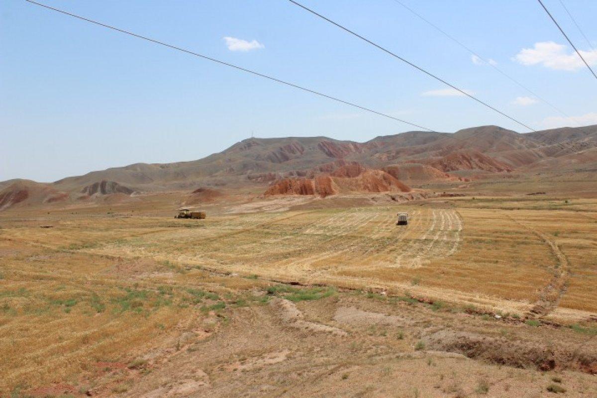 Iğdır'da çorak araziler tarıma kazandırıldı