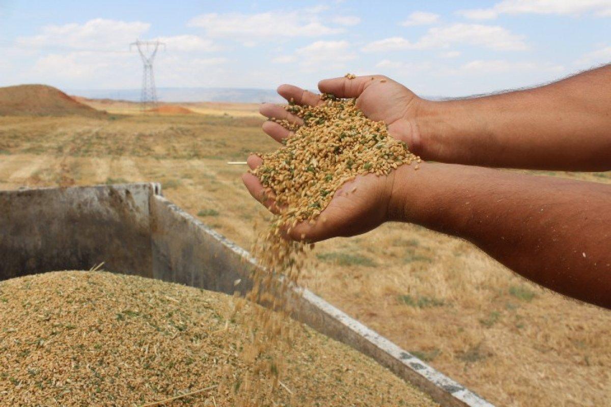 Iğdır'da çorak araziler tarıma kazandırıldı