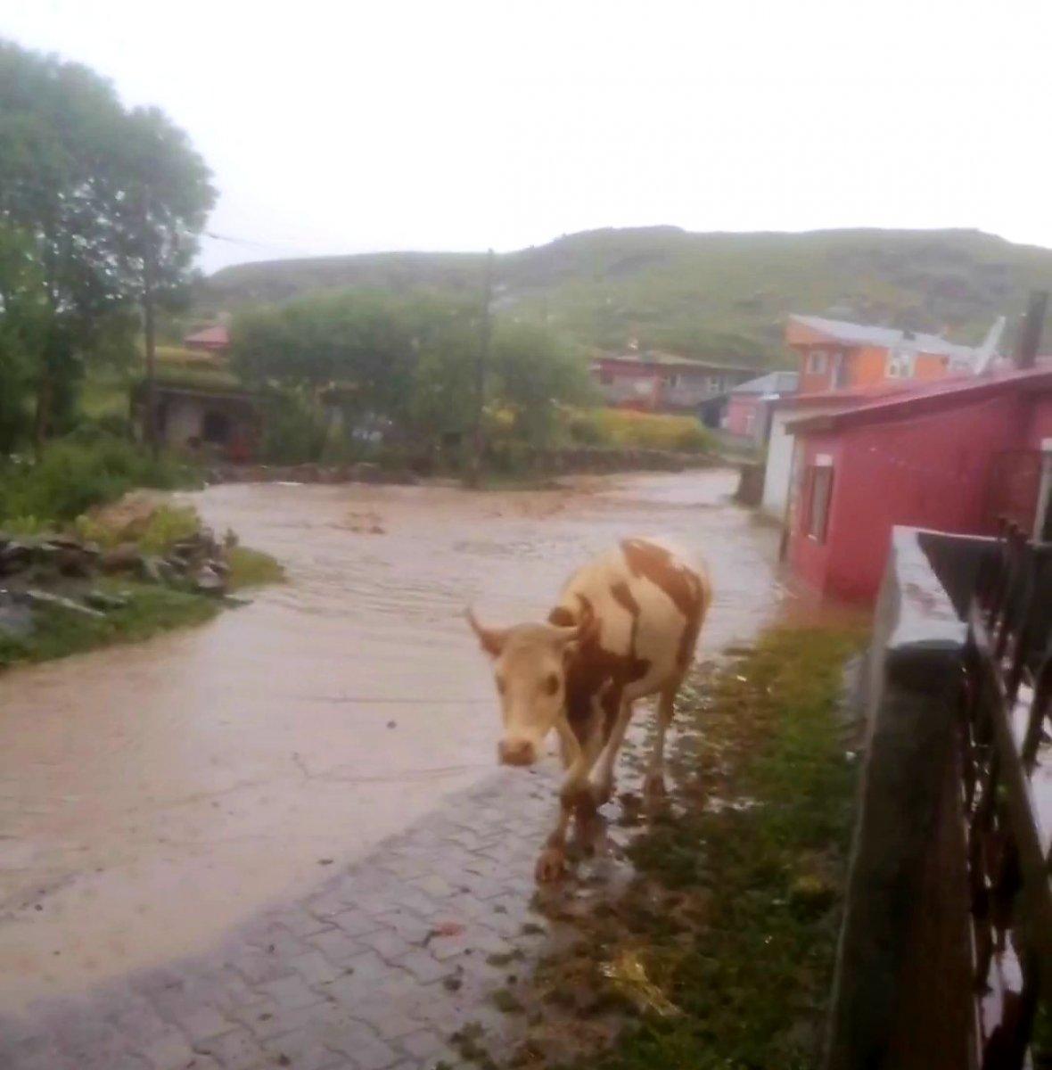 Ardahan’da şiddetli yağışlar sele neden oldu