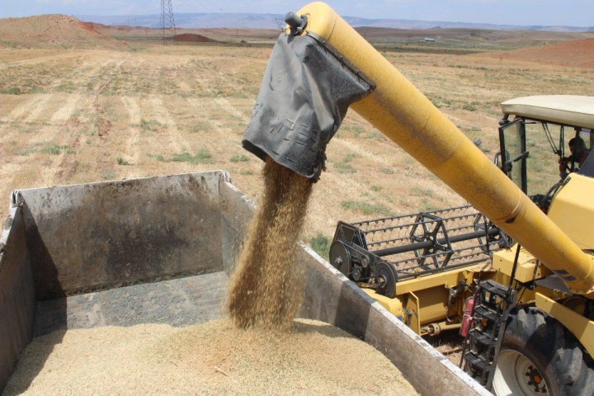 Iğdır'da çorak araziler tarıma kazandırıldı