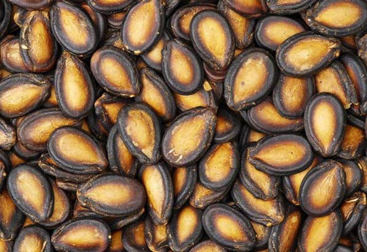 Çerezlerin yeni üyesi: Kavrulmuş karpuz çekirdeği