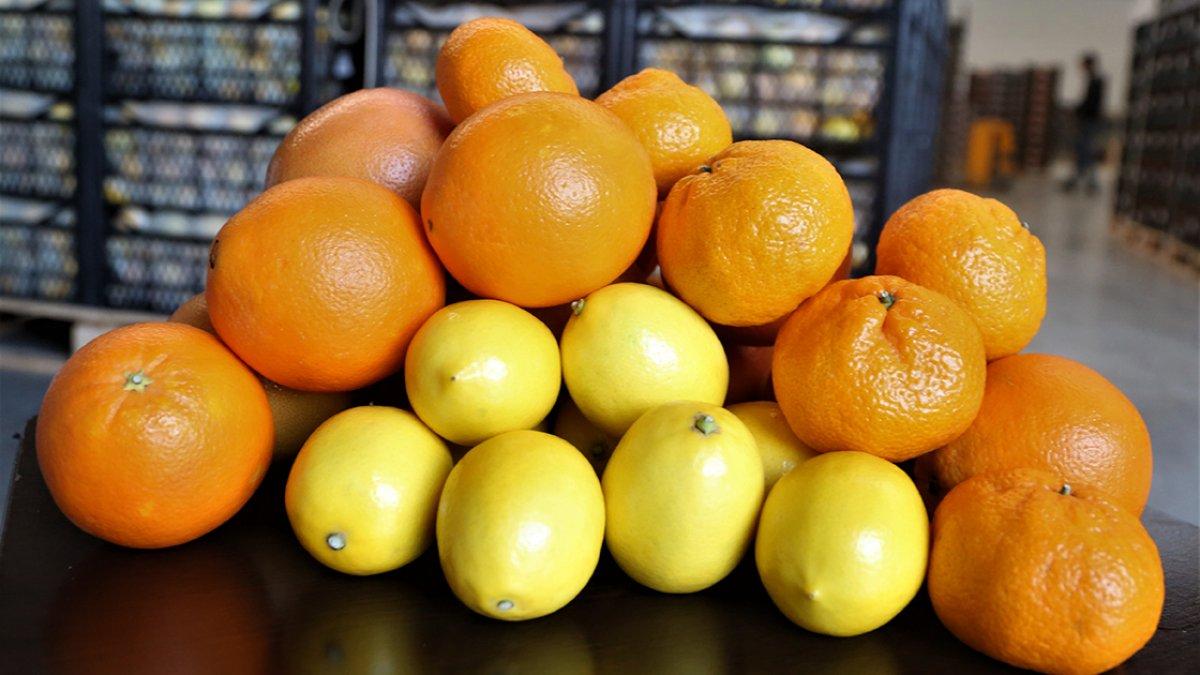 Bağışıklığı güçlendirmek ve iltihabı azaltmak için 10 besin