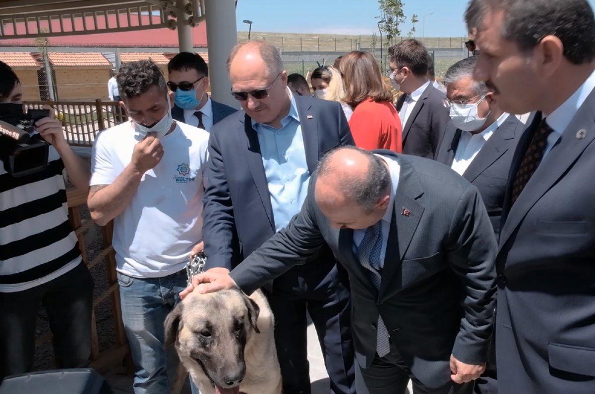 Kangal yetiştirme tesisi açıldı