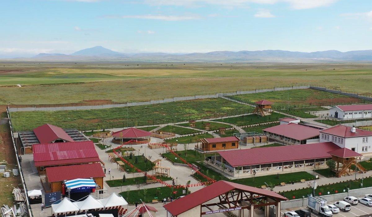 Kangal yetiştirme tesisi açıldı