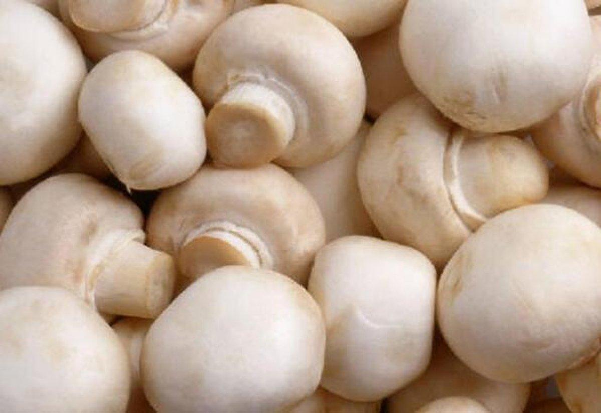 Bağışıklığı güçlendirmek ve iltihabı azaltmak için 10 besin