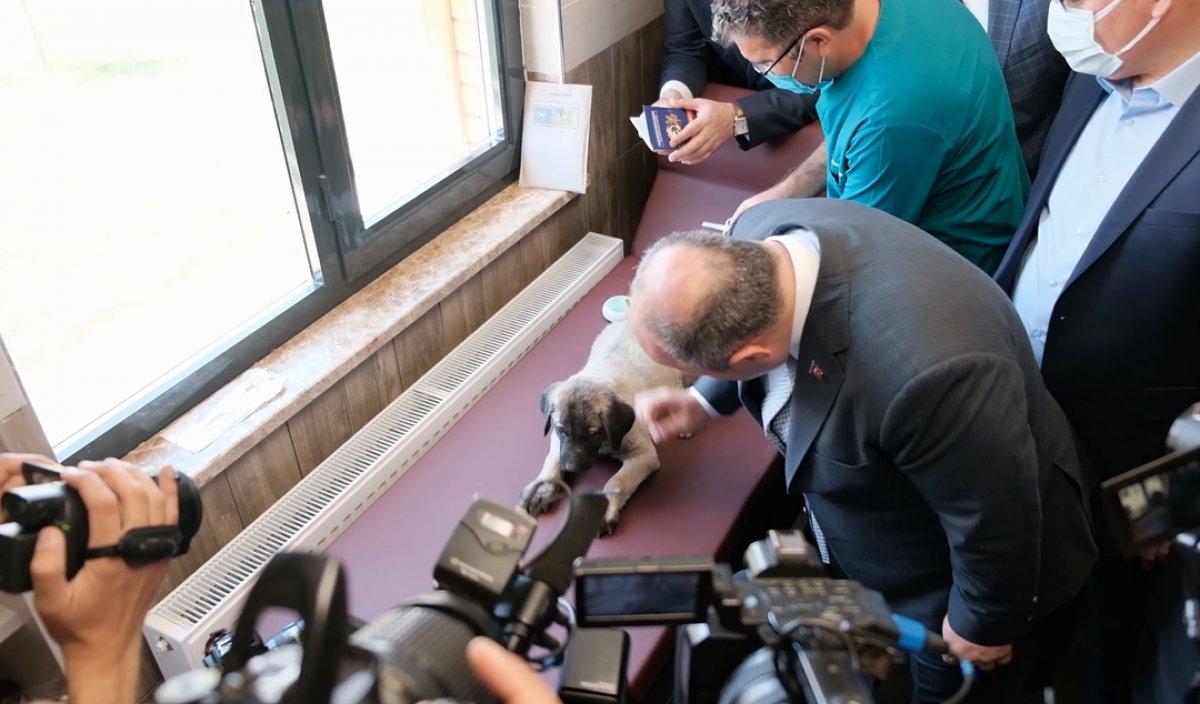 Kangal yetiştirme tesisi açıldı