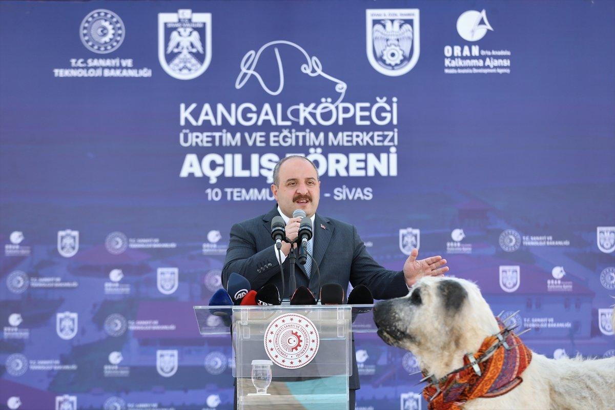 Varank'ın can dostu Anadolu Aslanı'na teknolojik tesis