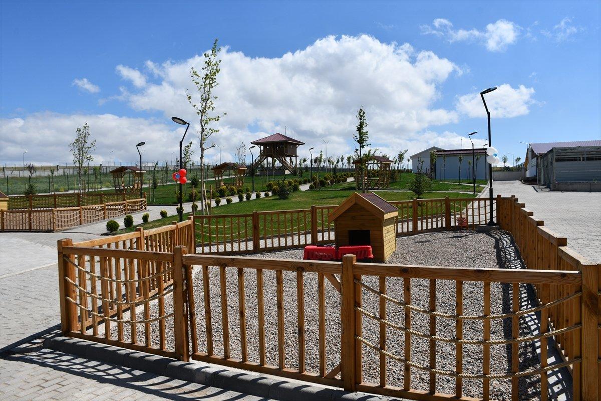 Varank'ın can dostu Anadolu Aslanı'na teknolojik tesis