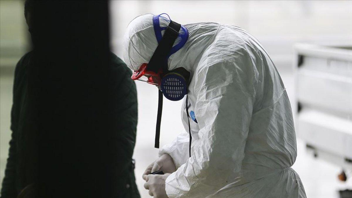 Bağışıklığı güçlendirmek ve iltihabı azaltmak için 10 besin